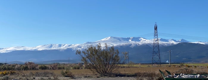 Estación de Servicio Repsol is one of Granada.