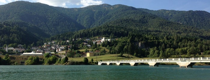 Lago di Pieve di Cadore is one of IDEAL pines + water.