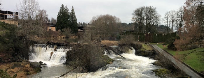 Falls Terrace is one of Olympia, Washington.