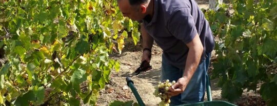 Duyar Wine Yard is one of Dr.Gökhanさんのお気に入りスポット.