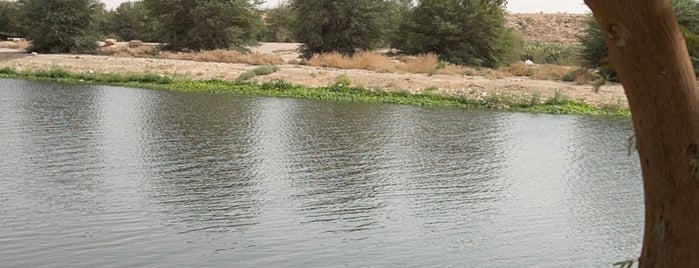 Lakes Park متنزه البحيرات is one of Orte, die Maha gefallen.