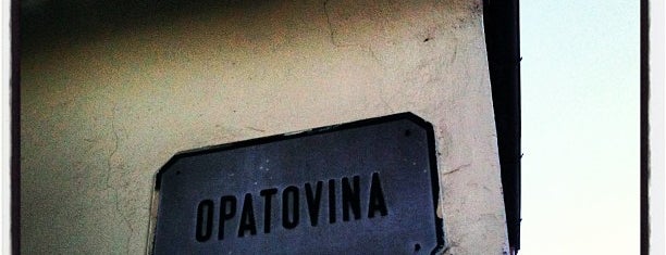 Opatovina is one of Cities!.