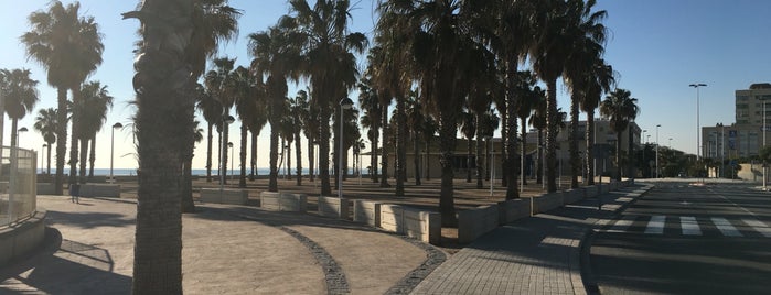 Platja de la Patacona is one of Orte, die Ruth gefallen.