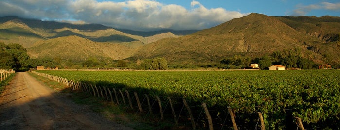 Salta is one of Rutas del Vino.
