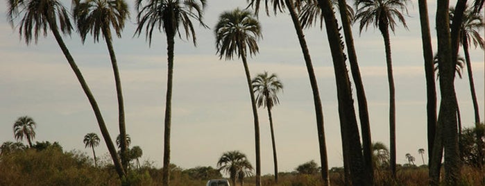 Parque Nacional El Palmar is one of Entre Ríos.