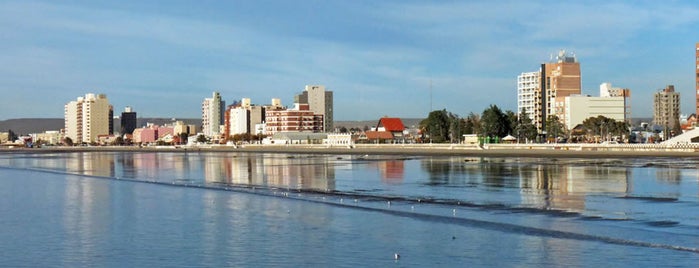 Madryn