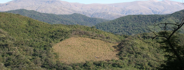 Parque Nacional Baritú is one of Salta.