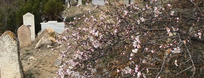 Meram Dere Mezarlık is one of Çiçek.