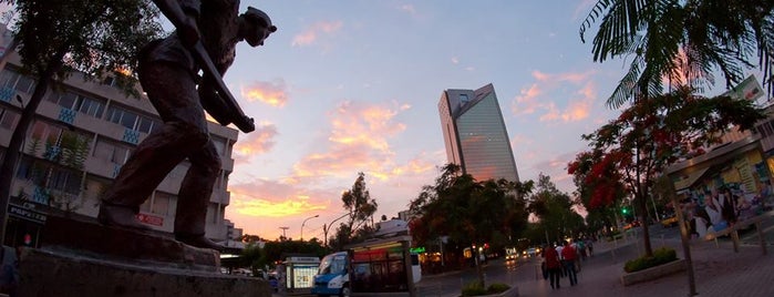 Paseo Chapultepec is one of Lugares para visitar en Guadalajara.