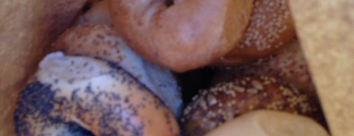Stars Bagels & Cafe is one of Dobbs Ferry Metropolitan Area.