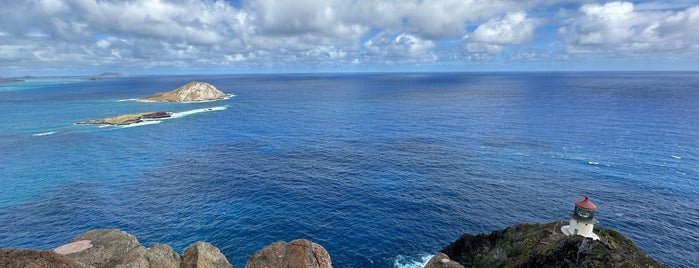 Makapu'u Point Lighthouse Trail is one of O'ahu, Hawaii.