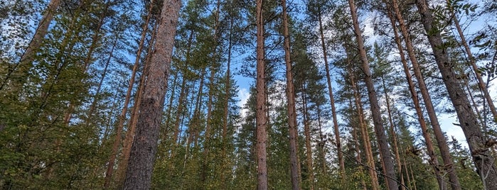 Luukin ulkoilualue is one of Orienteering terrains near Helsinki.