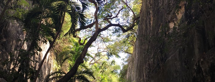 Queen's Staircase is one of 2019 - Nassau.