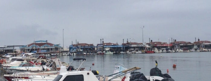 Silivri Marina is one of Z. A.