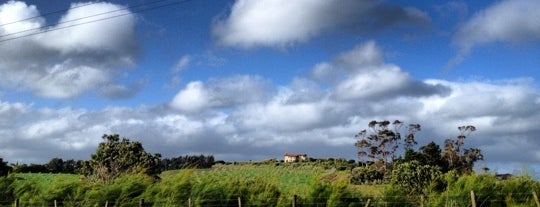 Waiheke Island is one of Auckland Trip.