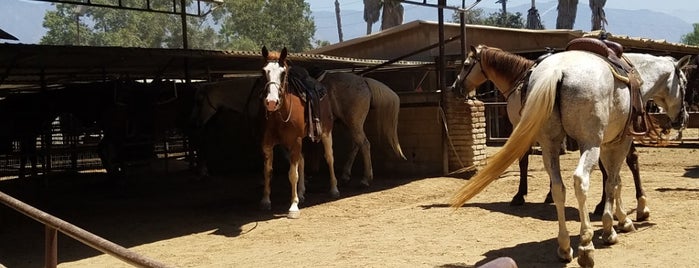 Circle K riding stables is one of Hooray for Hollywood.