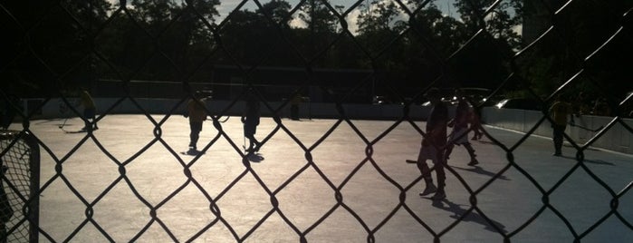 DC Street Hockey is one of VA Places.