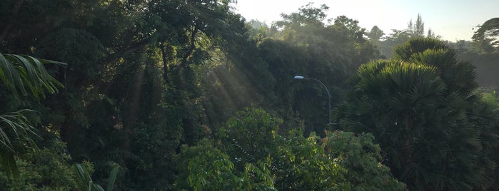 Foresta@Mt Faber is one of Tino 님이 좋아한 장소.