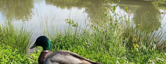 Parc de la Colline aux Oiseaux is one of Good places..