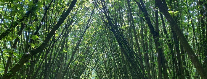 Les Jardins Du Pays d'Auge is one of Tourdefrance.