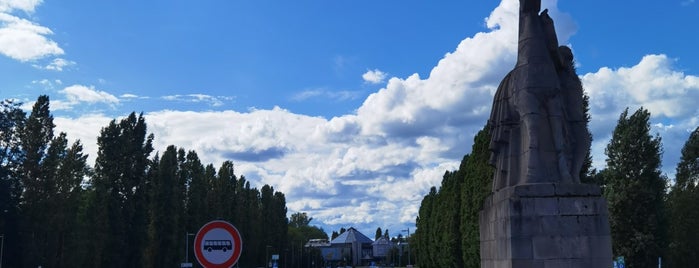 Nordpark is one of Best sport places in Düsseldorf.