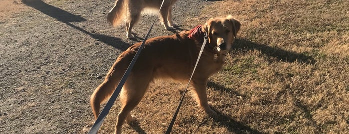 The Preserve Dog Park is one of Places I've been near me.