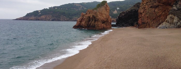 Playa Illa Roja is one of PLAYAS y CALAS COSTA BRAVA.