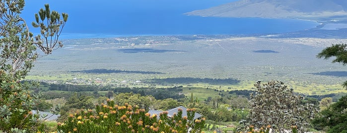 Ali'i Kula Lavender is one of Maui.