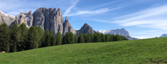 Ciampedie - Catinaccio is one of Punti panoramici Val di Fassa.