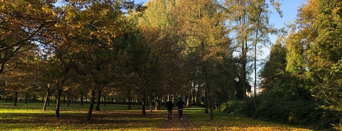 Parco delle Risorgive is one of 4SQ365IT: Northern Italy.