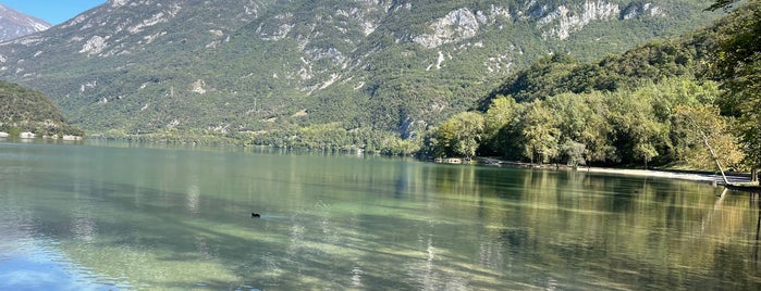 Lago di Cavazzo is one of Buja.