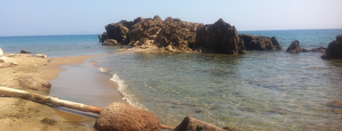 Camel Beach is one of Tempat yang Disukai Selim.