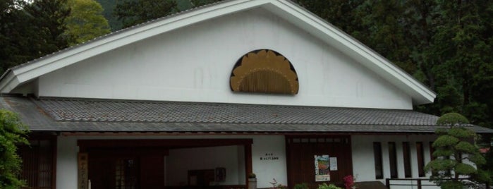櫛かんざし美術館 is one of みたけ渓谷.