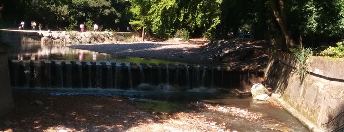 Maden Deresi is one of sakarya.