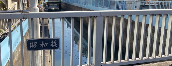 昭和橋 is one of 東京橋.