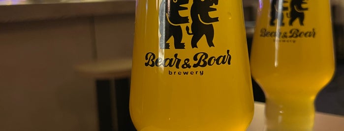 Bear & Boar Taproom is one of Vilnius beers.
