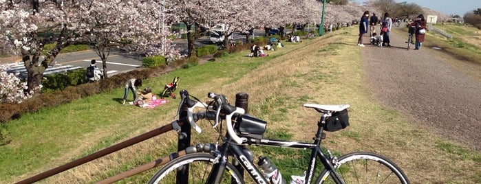 多摩川住宅中央バス停 is one of 中野島駅 | おきゃくやマップ.