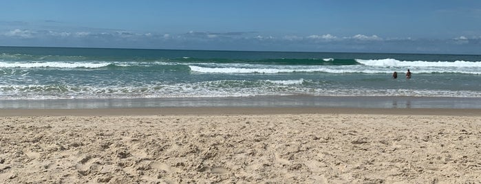 Praia Brava is one of Floripa's Beach.