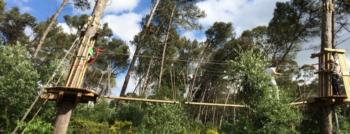 Adventure Park do Jamor is one of TOP Oeiras.