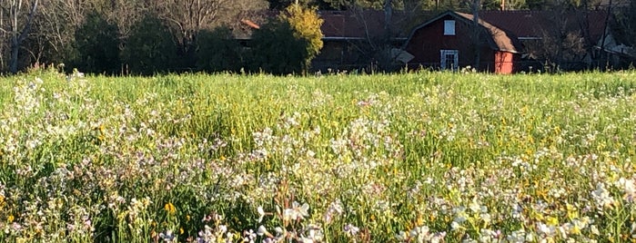 Lavender Inn is one of California 🌞.