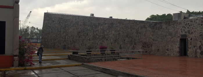 Centro Universitario de Ciencias Sociales y Humanidades (CUCSH) is one of Guadalajara.