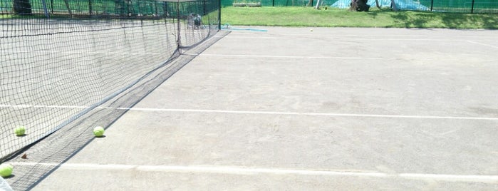富士見ヶ丘運動場 テニスコート is one of テニスコート.