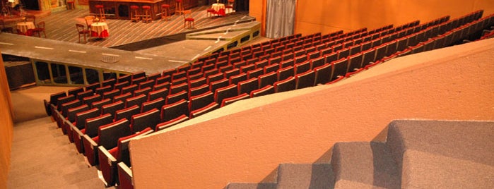 Teatro Juan Ruiz de Alarcón, Teatro UNAM is one of Teatro · Música · Danza.