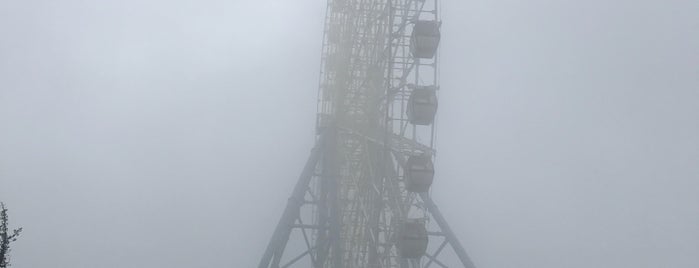 Ferris Wheel | ეშმაკის ბორბალი is one of สถานที่ที่ Svetlana ถูกใจ.