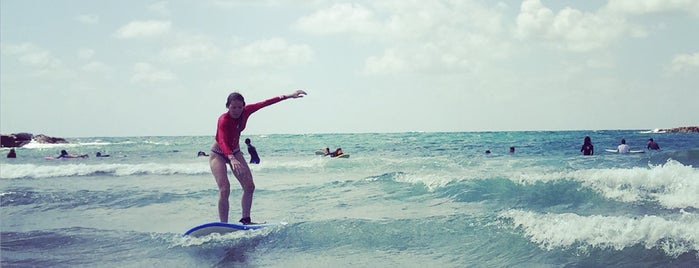 israel surf club is one of Posti che sono piaciuti a Svetlana.