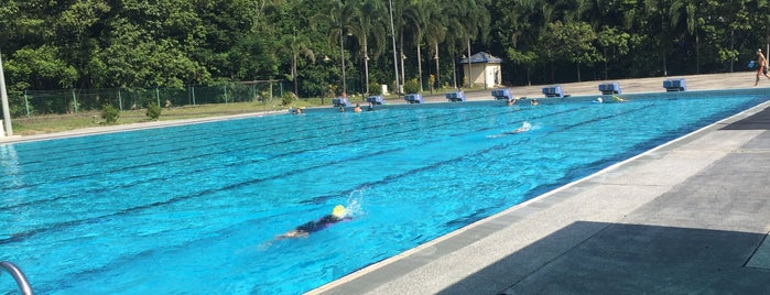 University of Malaya Swimming Pool is one of Suitable Place for Exercise.