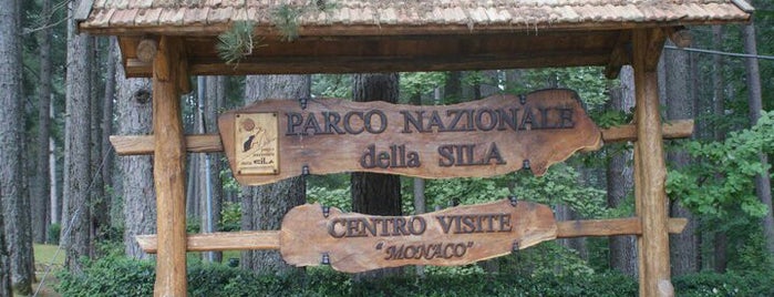 Parco Nazionale della Sila is one of gibutino: сохраненные места.