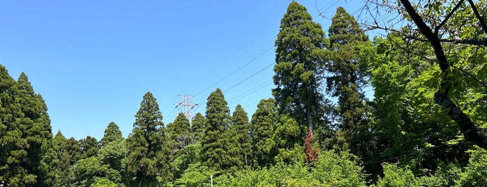 泉自然公園 is one of park visited.