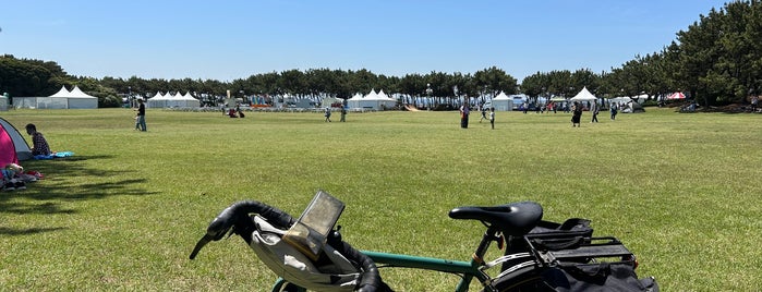 稲毛海浜公園 is one of サイクリング.