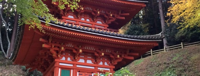 岩船寺 is one of 三重塔 / Three-storied Pagoda in Japan.